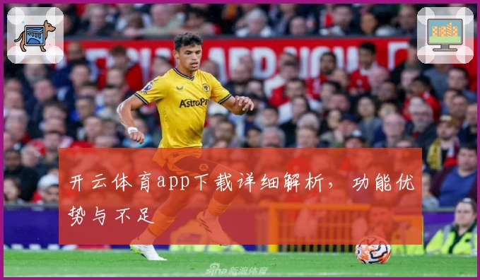 开云体育app下载详细解析，功能优势与不足
