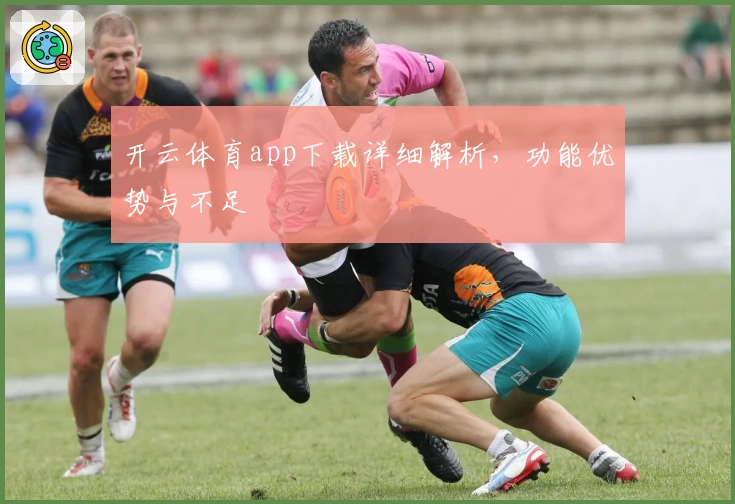 开云体育app下载详细解析，功能优势与不足
